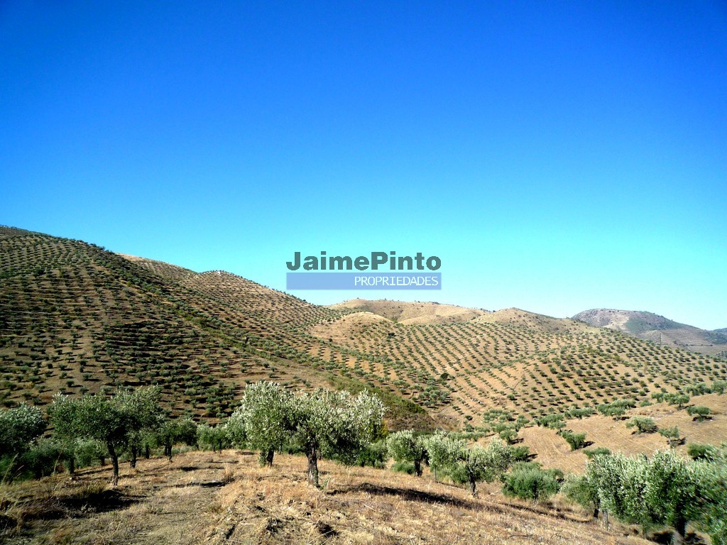 Farm