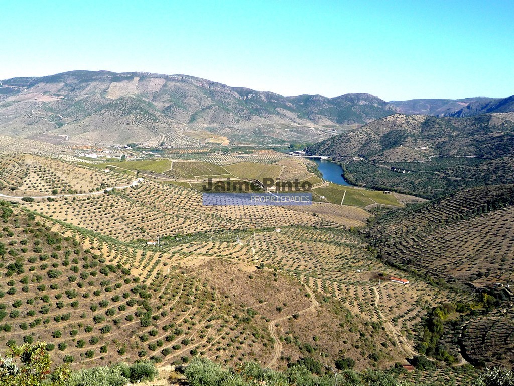 Farm