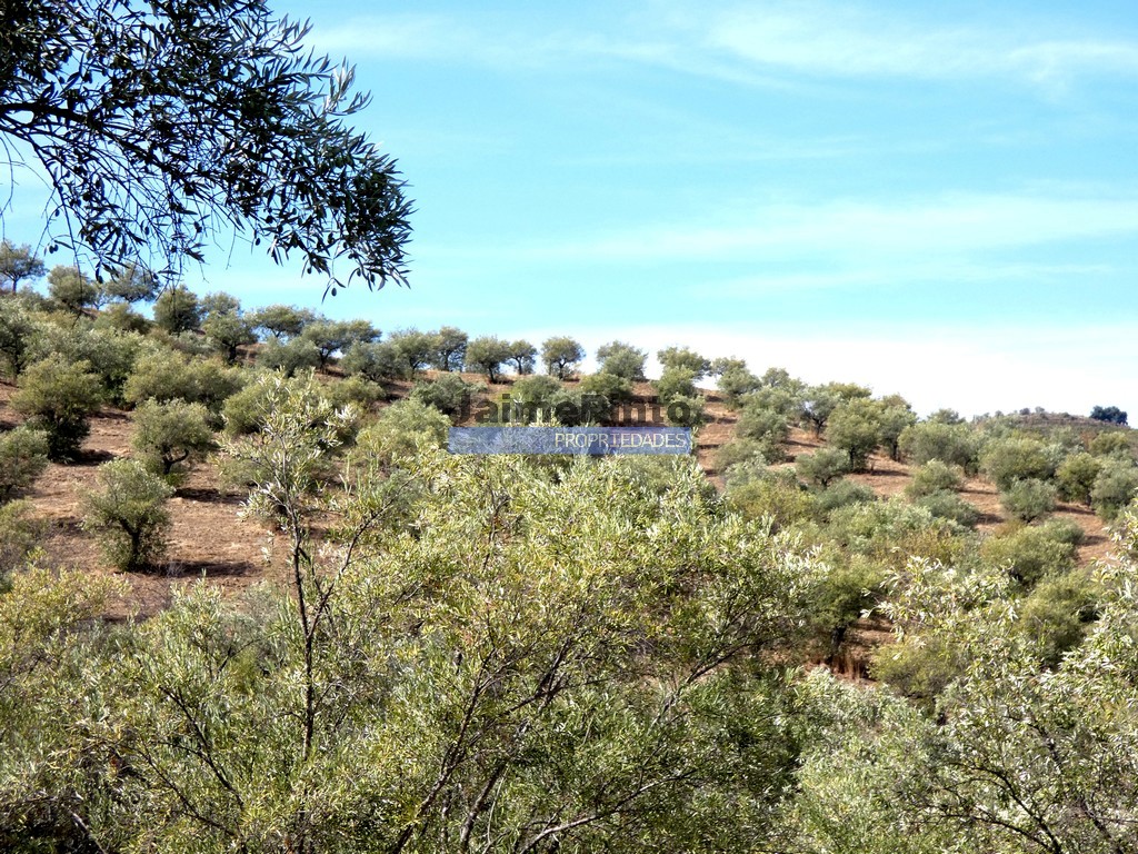 Farm