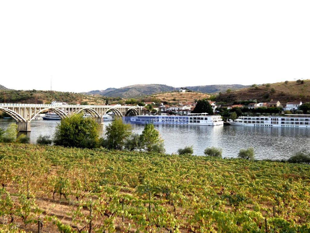 Farm
