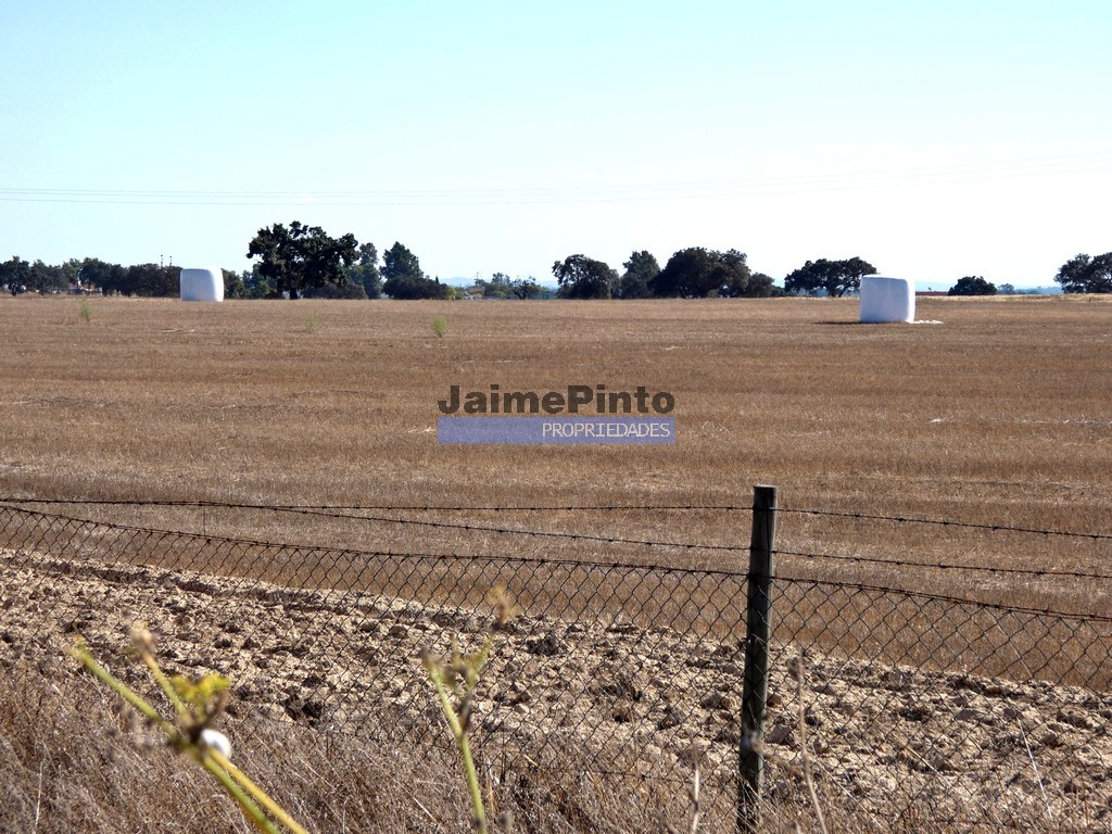 Farm