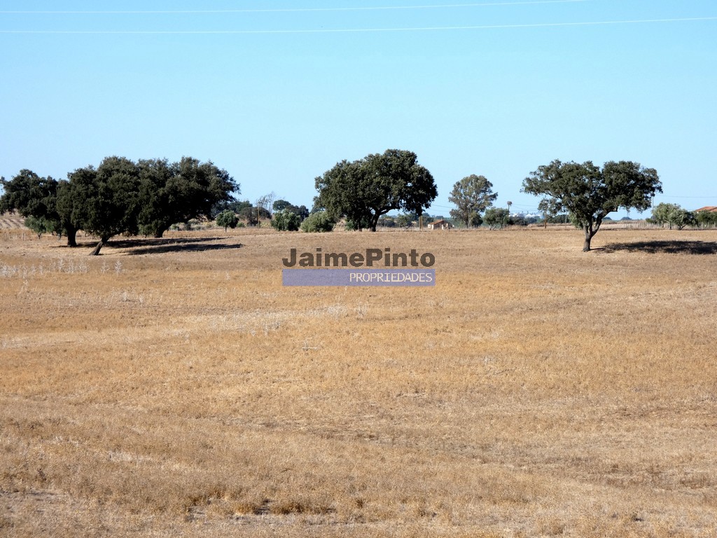 Farm