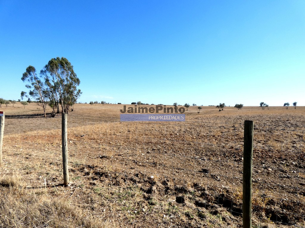 Farm
