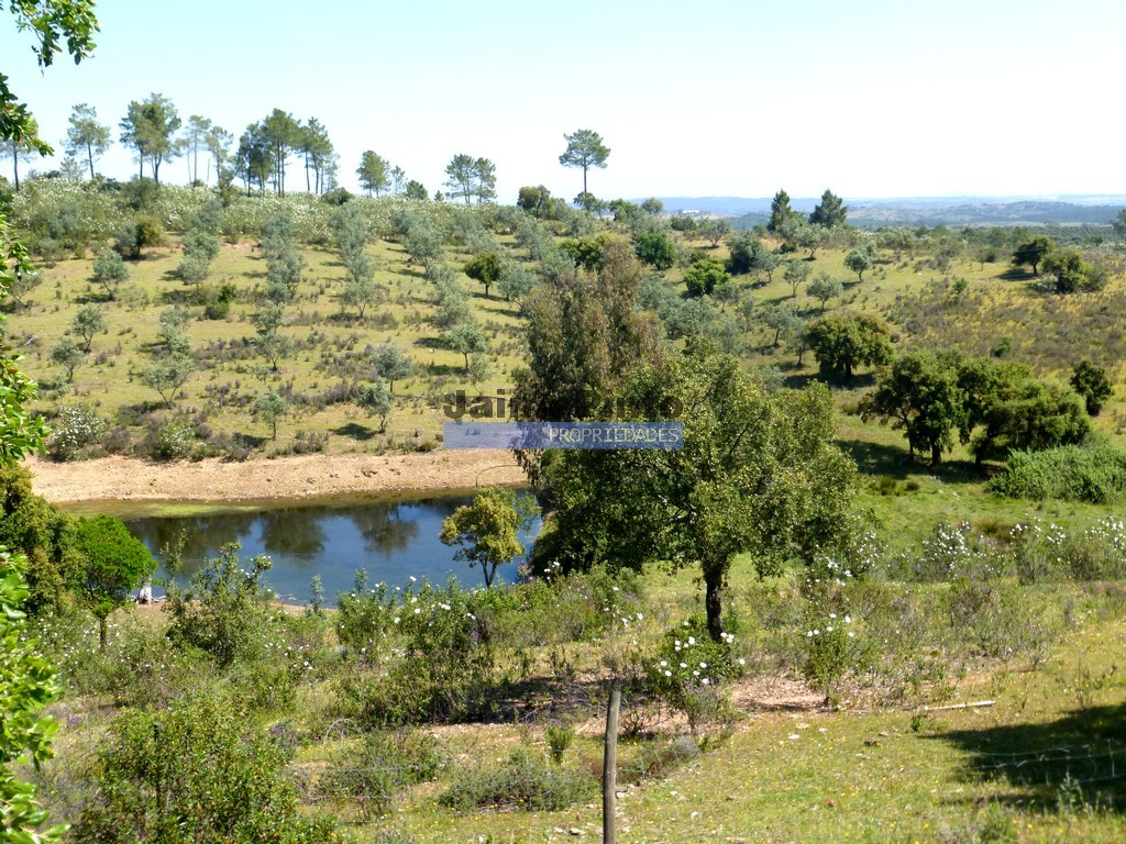Farm