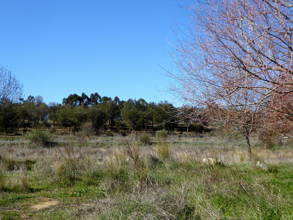 Farmstead