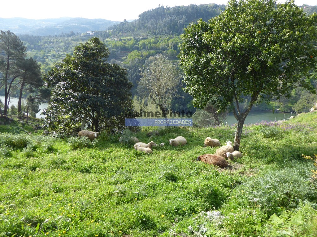 Rural property