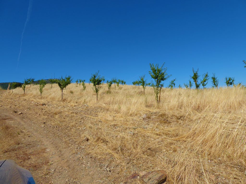 Farm