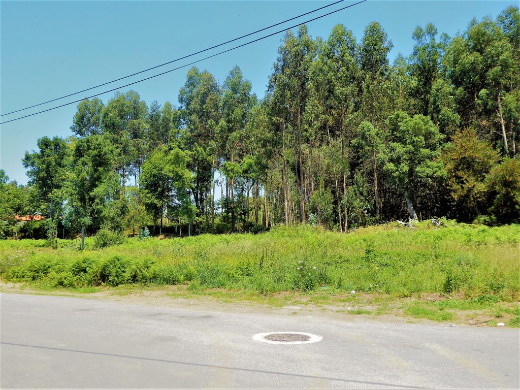 Land plot for house construction