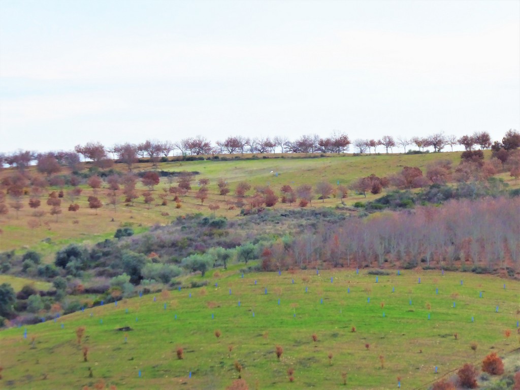Farm