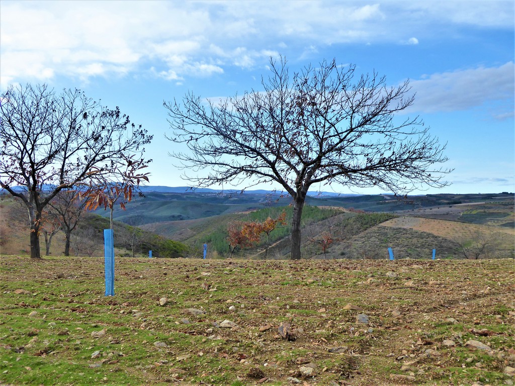 Farm
