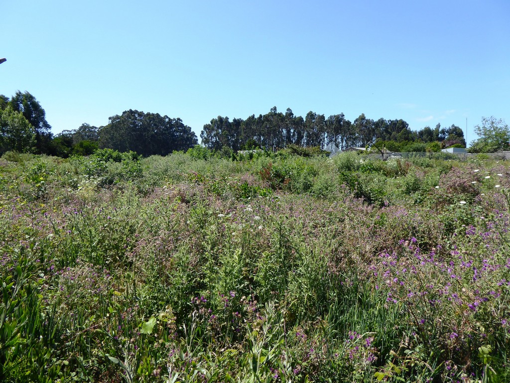 Land plot for high construction