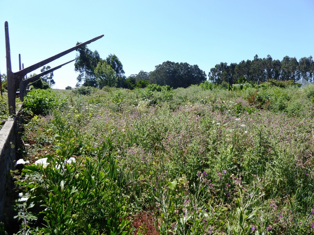 Land plot for high construction