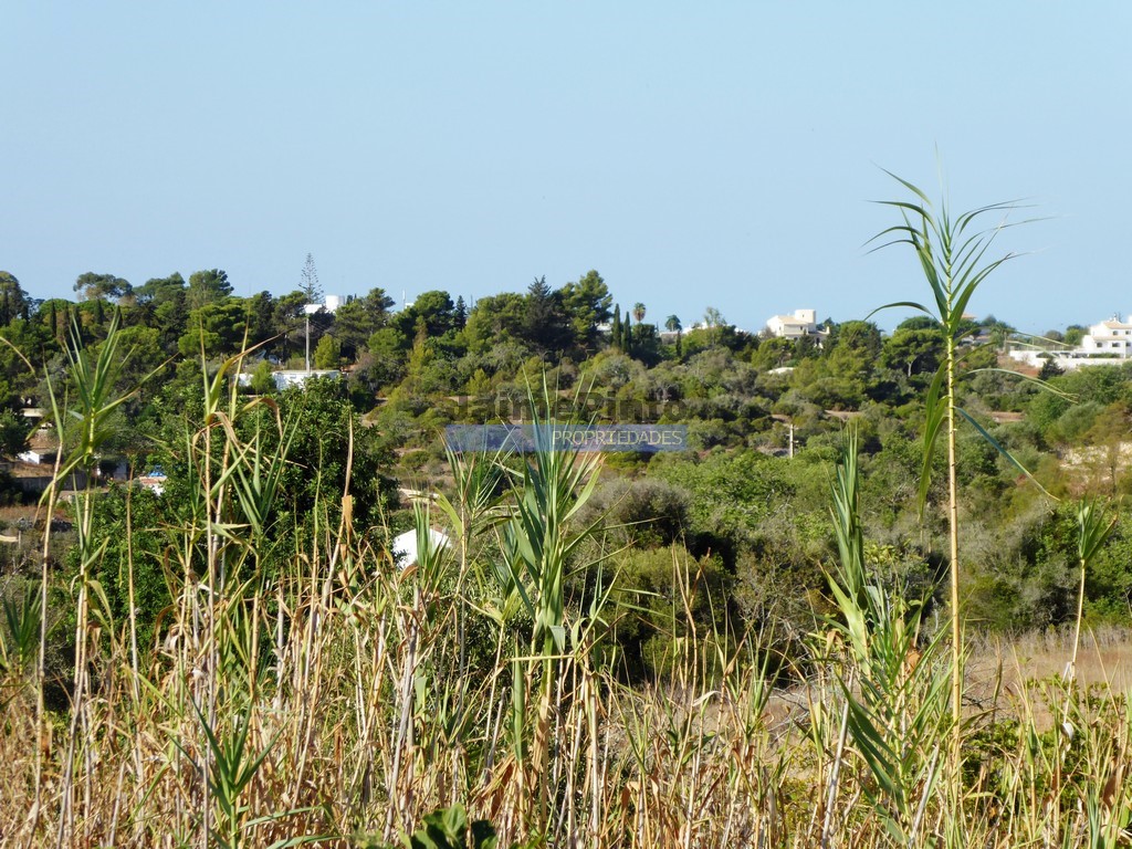 Land plot for high construction