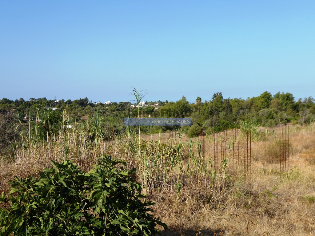 Land plot for high construction