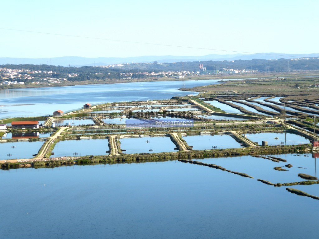 Urban / Agricultural land plot