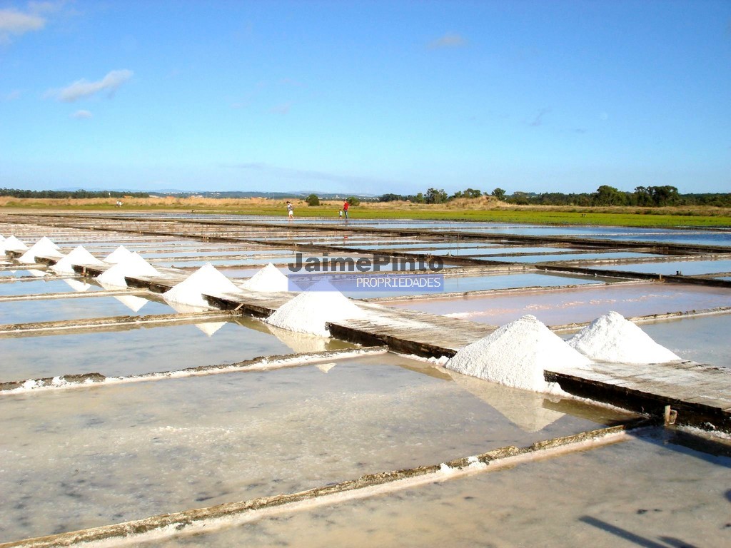 Urban / Agricultural land plot