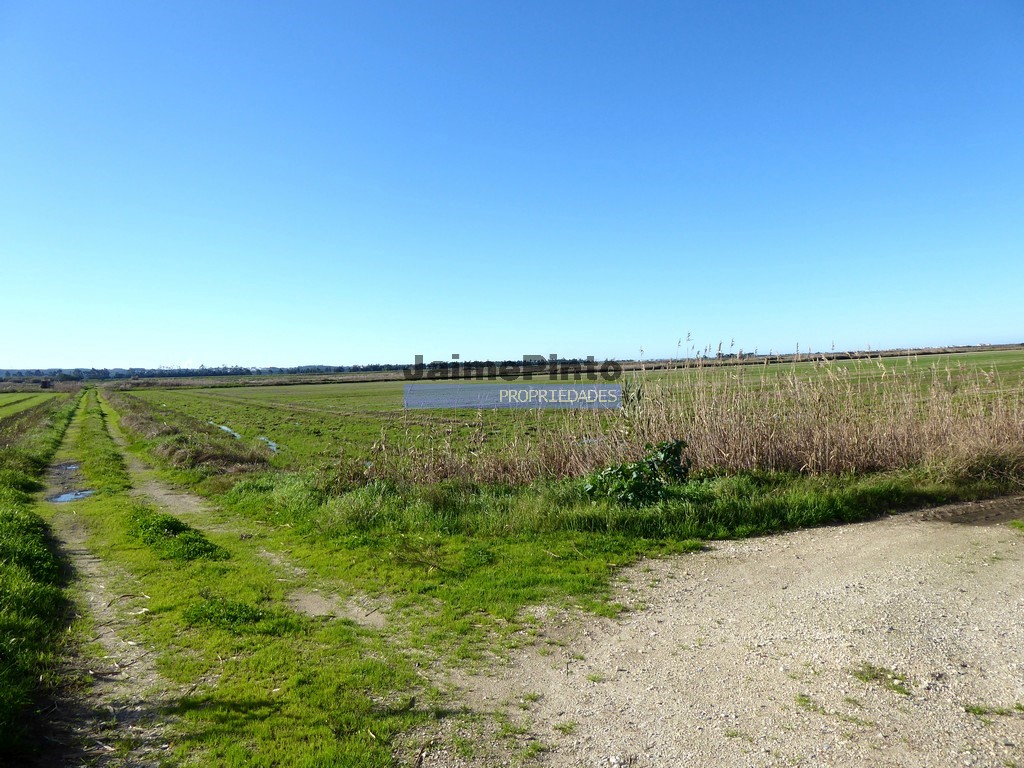 Urban / Agricultural land plot