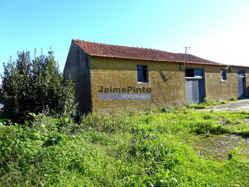 Small Farm