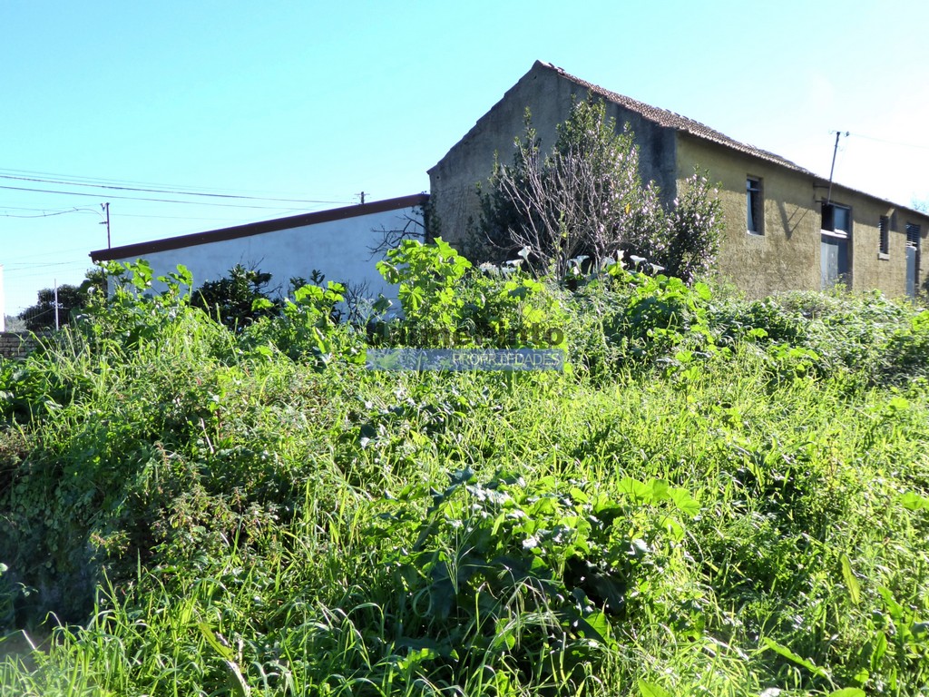 Small Farm
