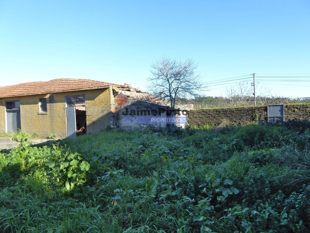 Small Farm