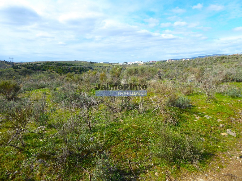 Agricultural land