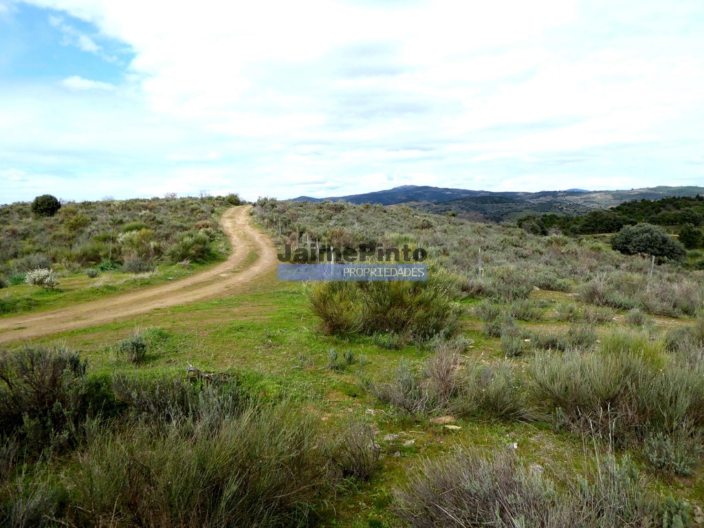 Agricultural land