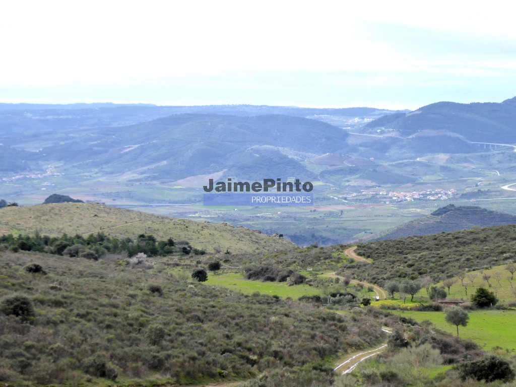 Agricultural land