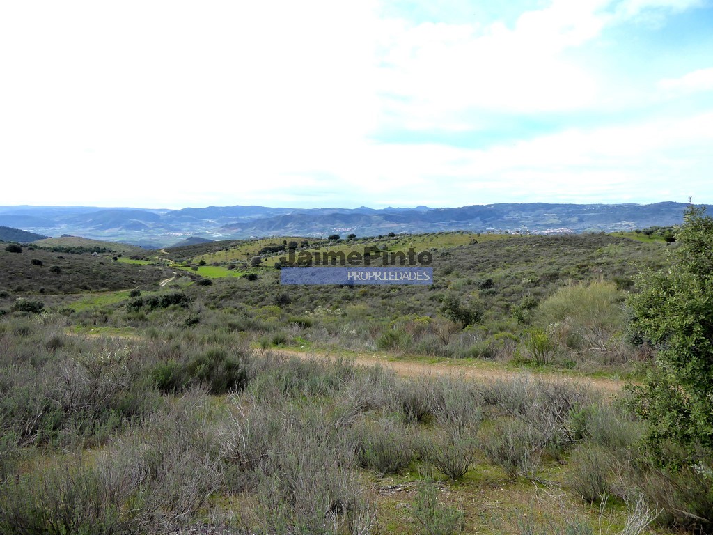 Agricultural land