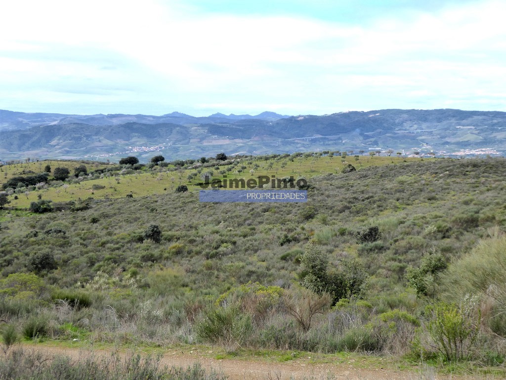 Agricultural land