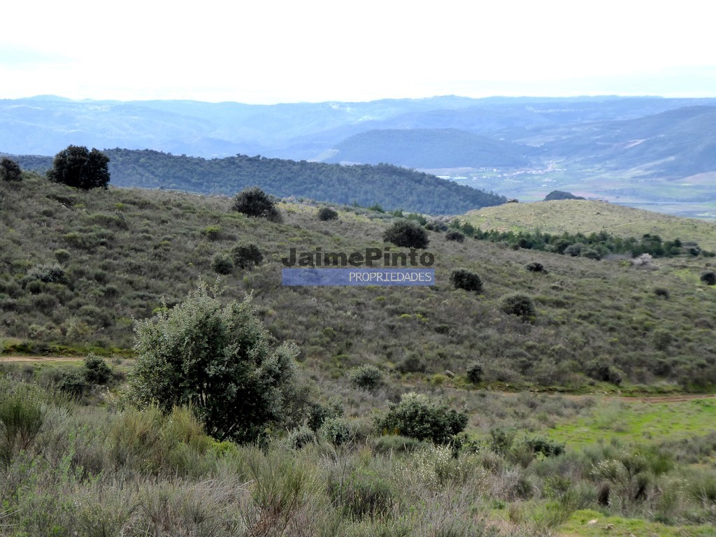 Agricultural land