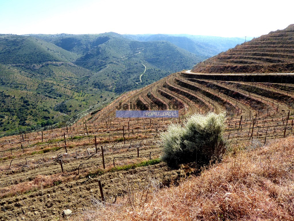 Agricultural land