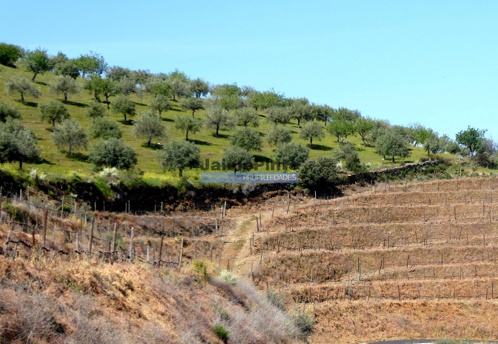 Agricultural land