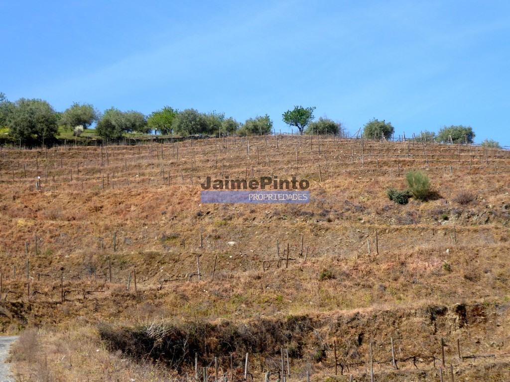 Agricultural land