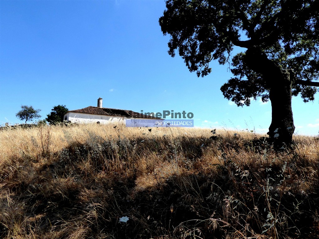 Agricultural land