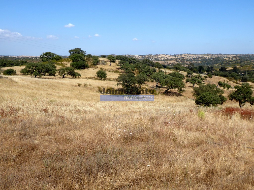 Agricultural land