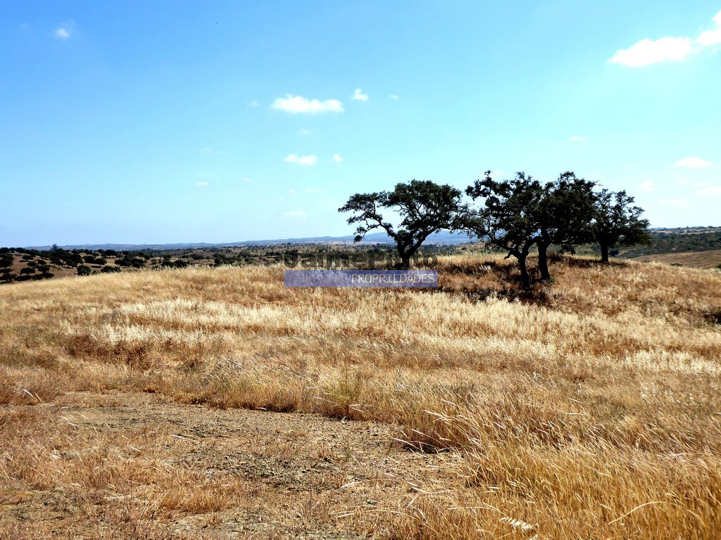 Agricultural land