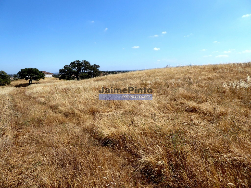 Agricultural land