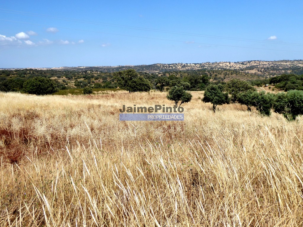 Agricultural land