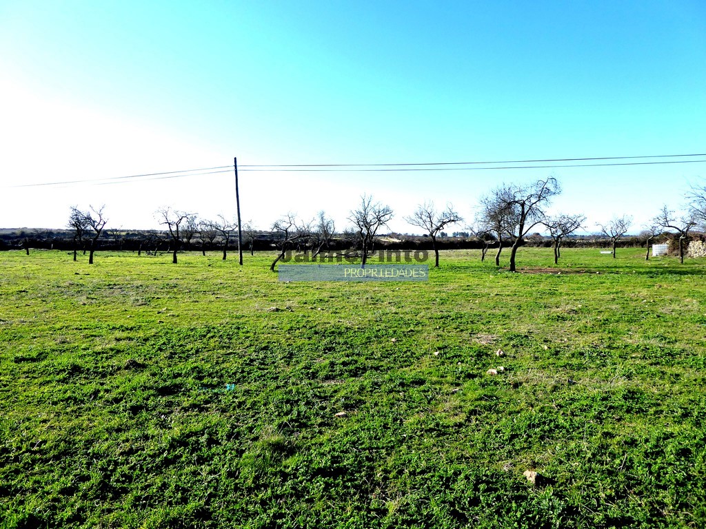 Land plot for house construction