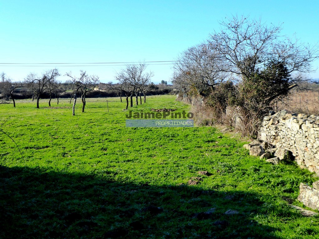 Land plot for house construction
