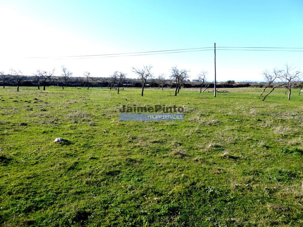 Land plot for house construction
