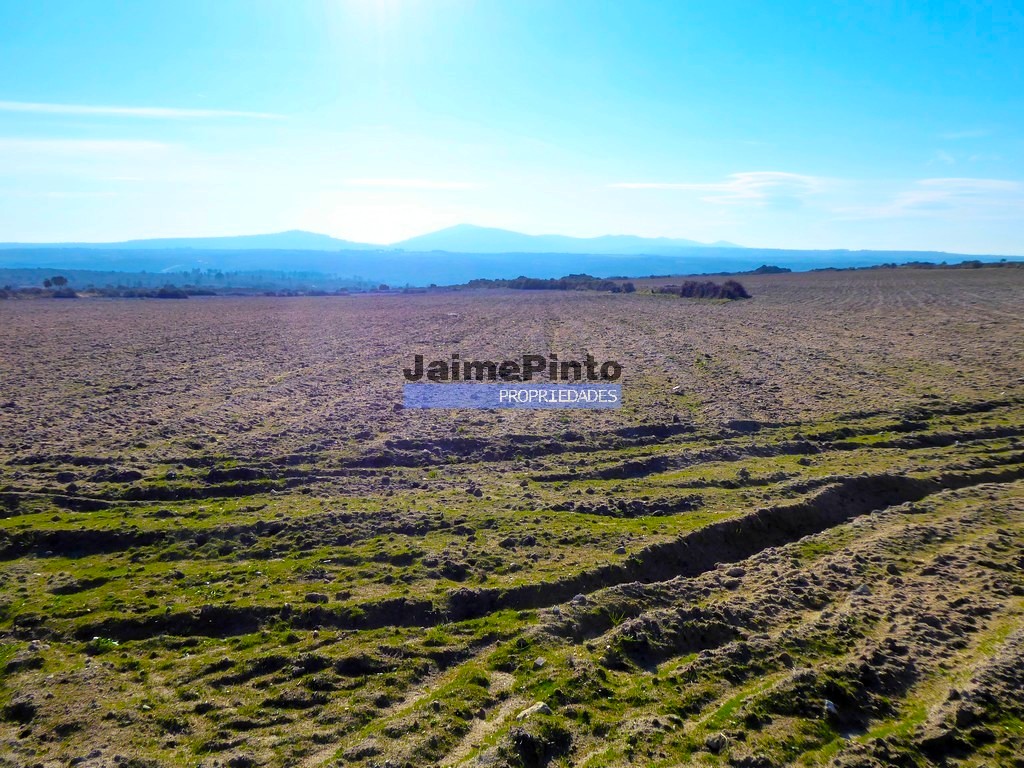 Agricultural land