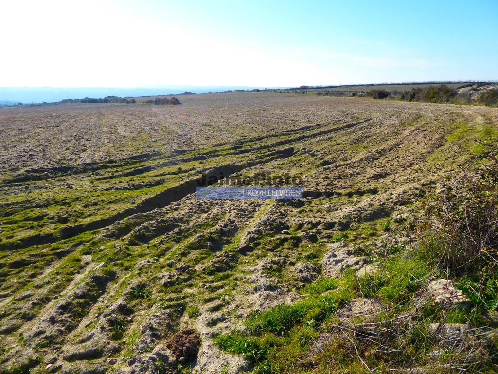 Agricultural land