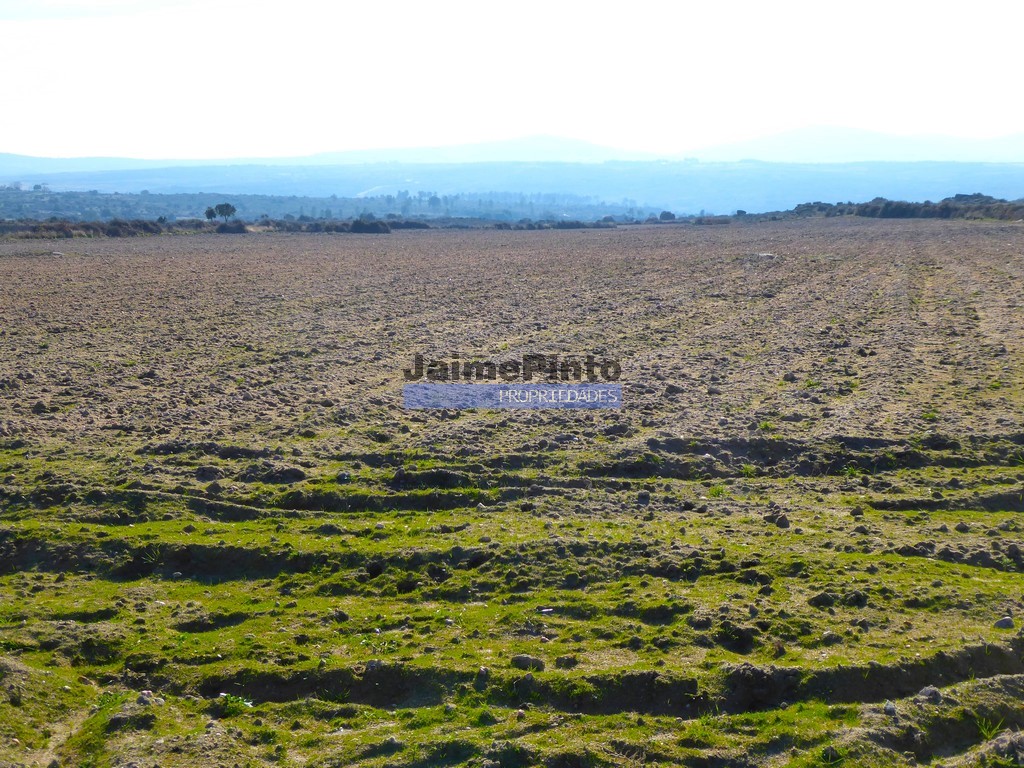 Agricultural land