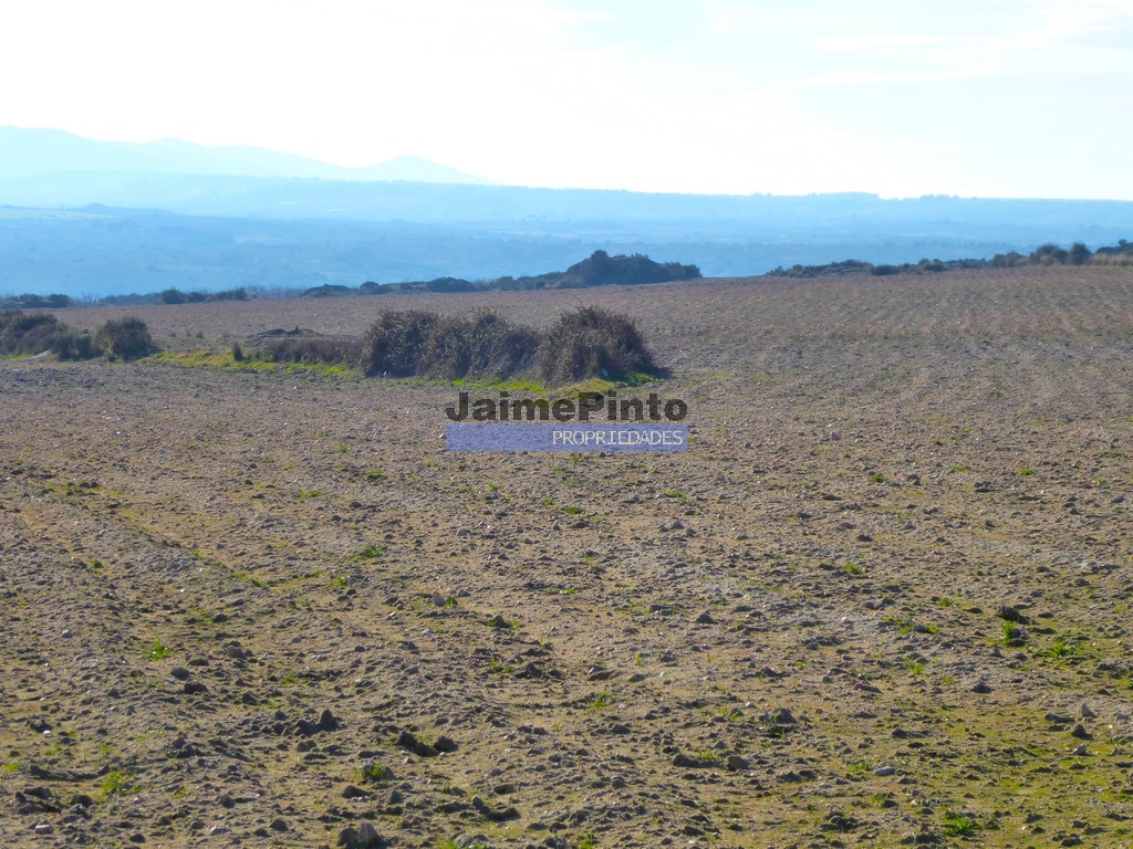 Agricultural land