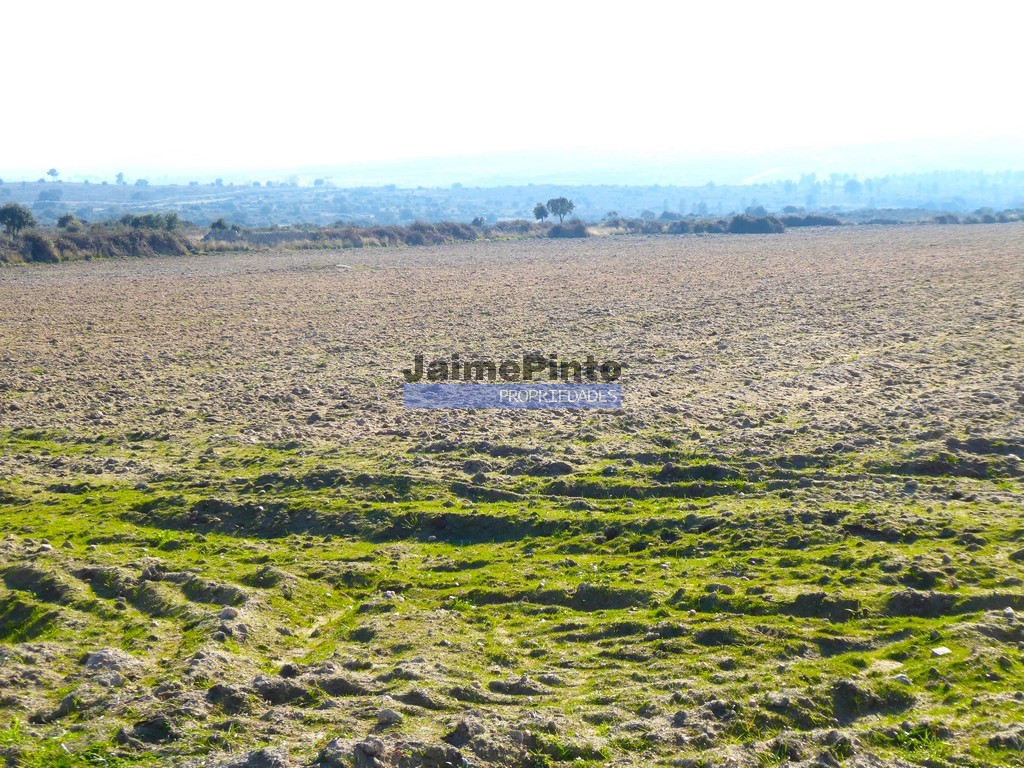 Agricultural land