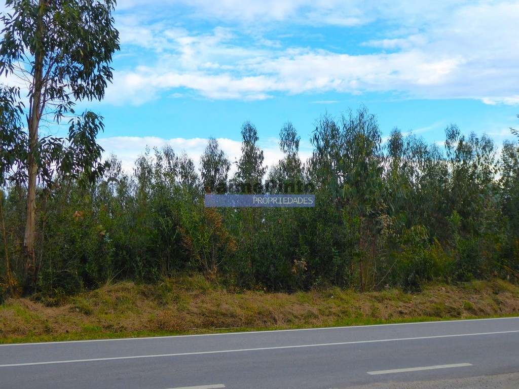Industrial land