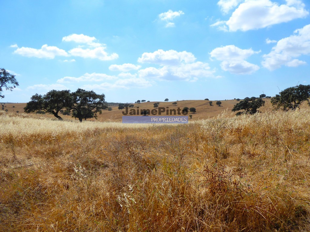 Agricultural land