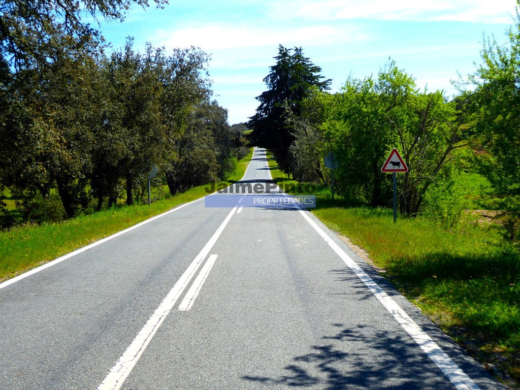 Agricultural land