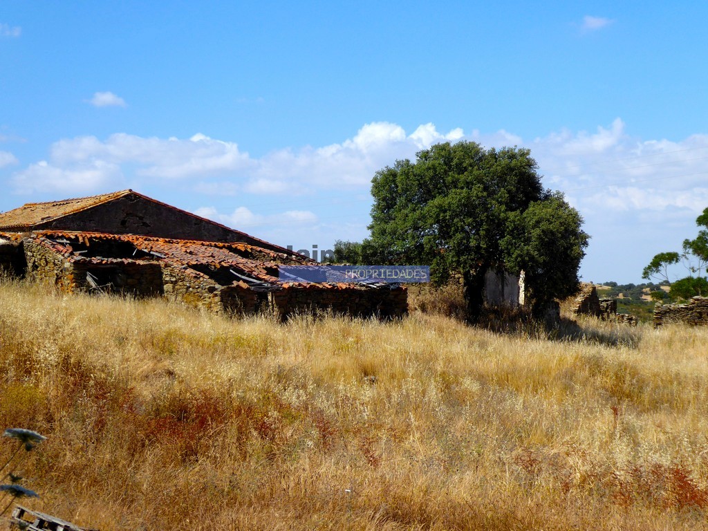 Agricultural land